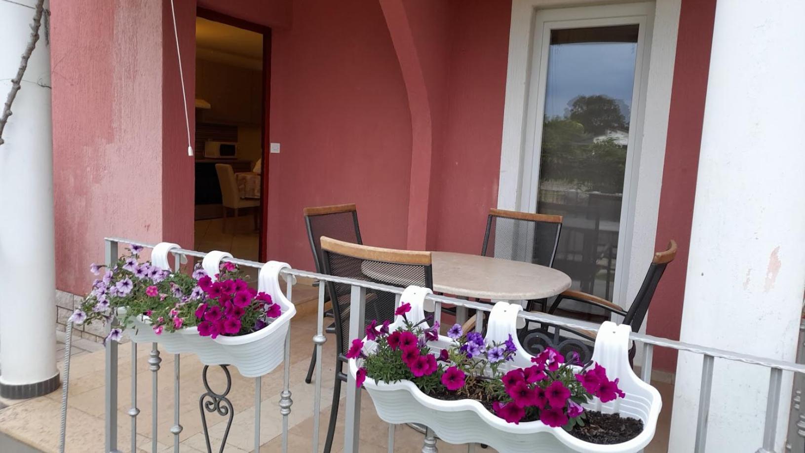 Apartments Dragica Poreč Buitenkant foto
