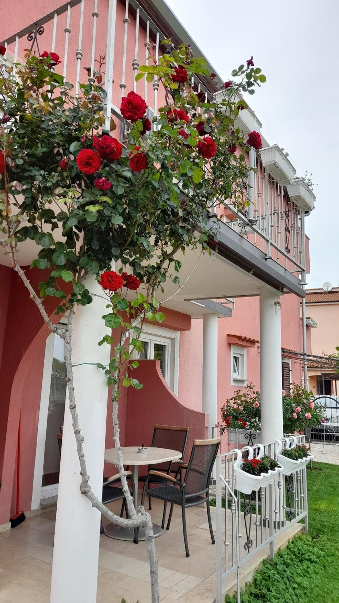 Apartments Dragica Poreč Buitenkant foto