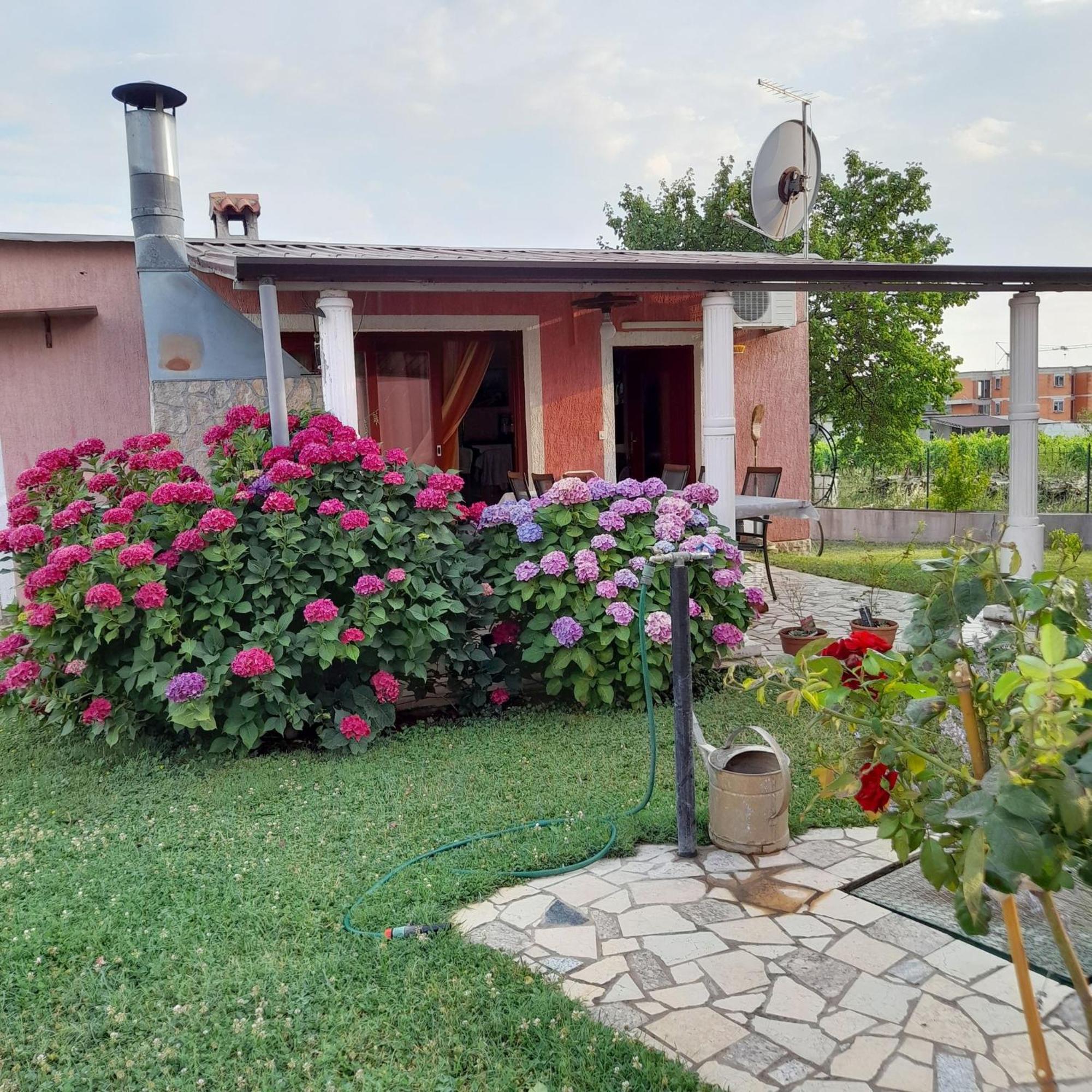 Apartments Dragica Poreč Buitenkant foto