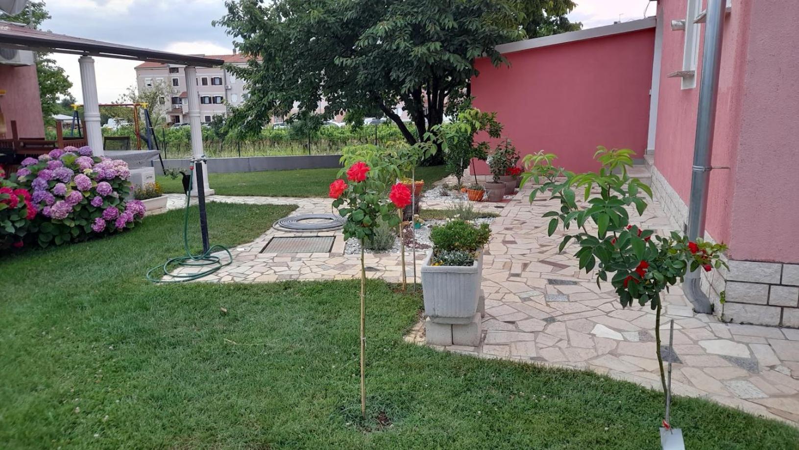 Apartments Dragica Poreč Buitenkant foto