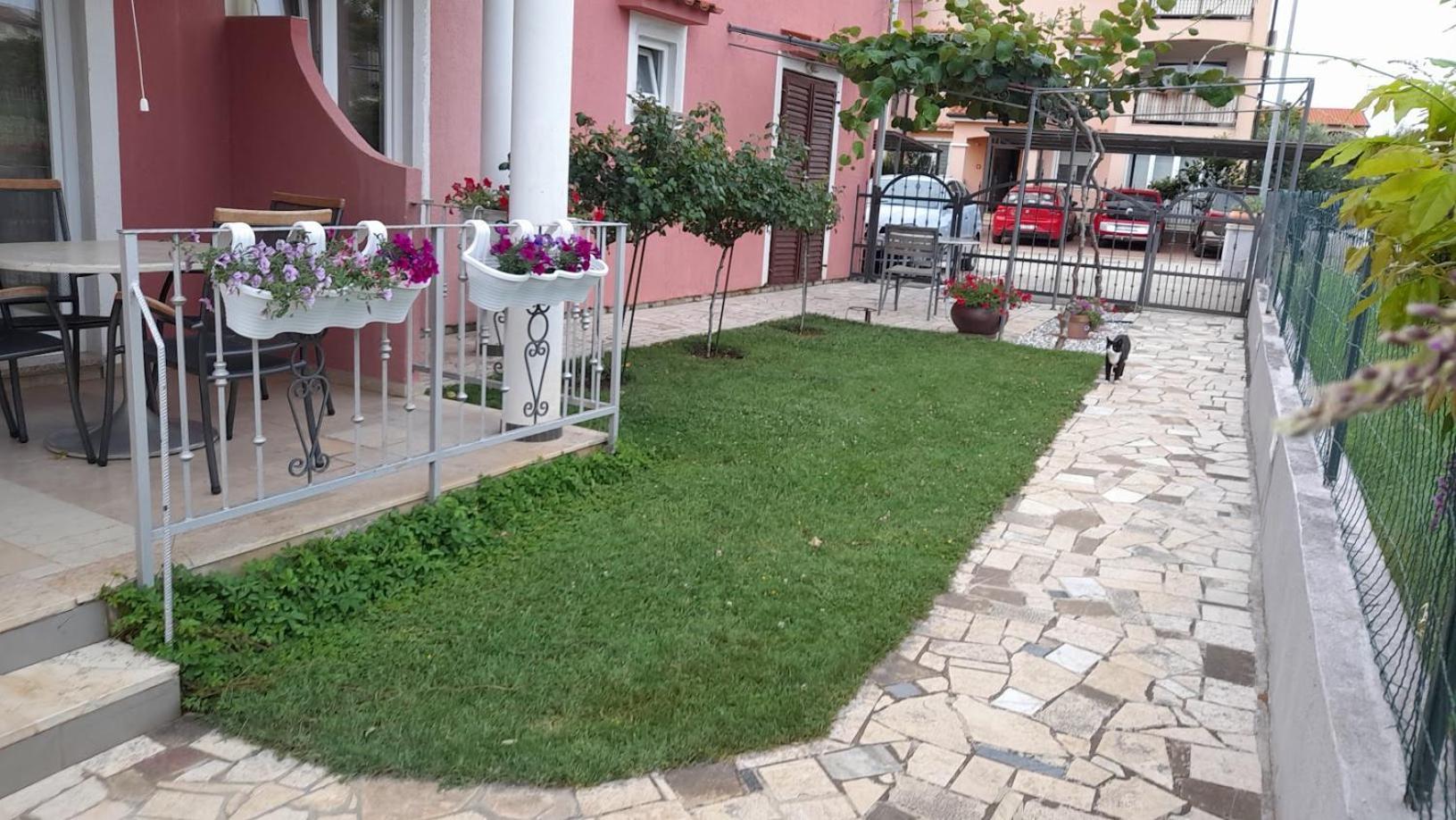 Apartments Dragica Poreč Buitenkant foto